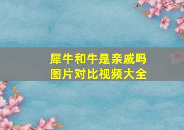 犀牛和牛是亲戚吗图片对比视频大全