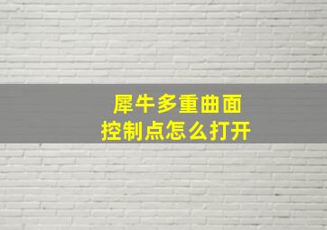 犀牛多重曲面控制点怎么打开