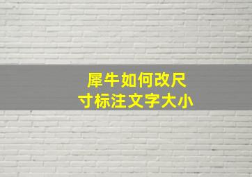 犀牛如何改尺寸标注文字大小