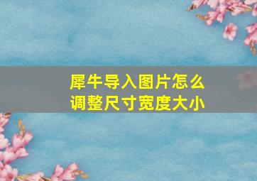 犀牛导入图片怎么调整尺寸宽度大小