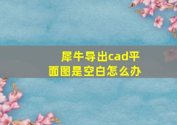 犀牛导出cad平面图是空白怎么办