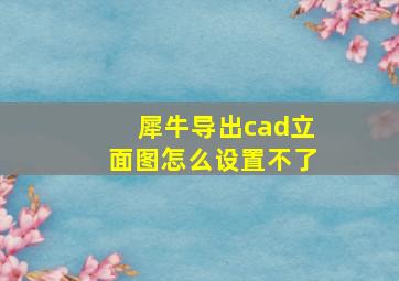 犀牛导出cad立面图怎么设置不了