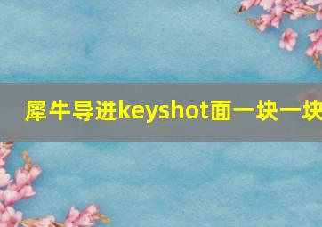 犀牛导进keyshot面一块一块