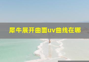 犀牛展开曲面uv曲线在哪