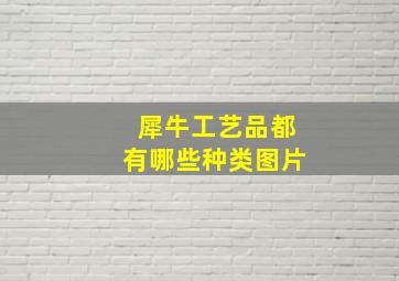 犀牛工艺品都有哪些种类图片