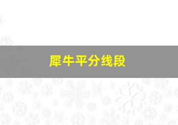 犀牛平分线段