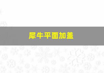 犀牛平面加盖