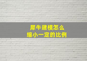 犀牛建模怎么缩小一定的比例