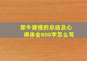 犀牛建模的总结及心得体会800字怎么写