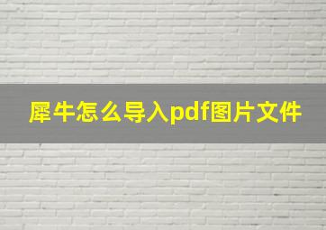 犀牛怎么导入pdf图片文件