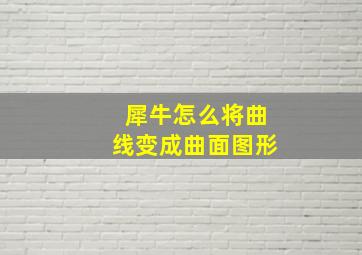 犀牛怎么将曲线变成曲面图形