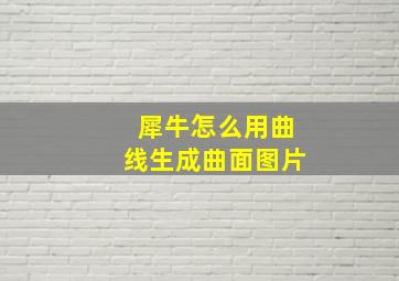 犀牛怎么用曲线生成曲面图片