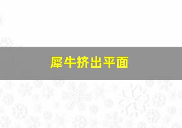 犀牛挤出平面