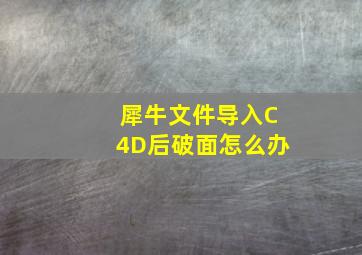 犀牛文件导入C4D后破面怎么办