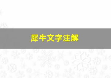 犀牛文字注解