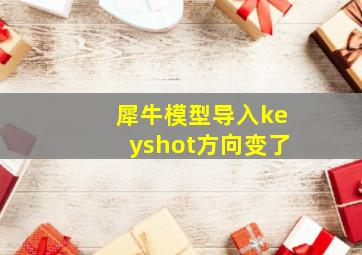 犀牛模型导入keyshot方向变了