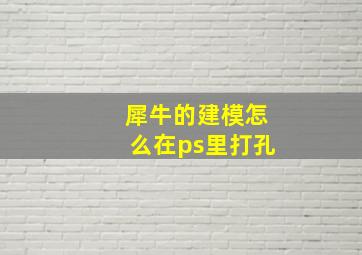 犀牛的建模怎么在ps里打孔