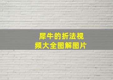 犀牛的折法视频大全图解图片