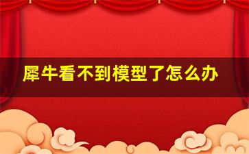 犀牛看不到模型了怎么办