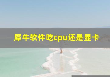 犀牛软件吃cpu还是显卡