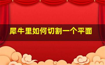 犀牛里如何切割一个平面