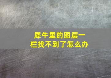 犀牛里的图层一栏找不到了怎么办