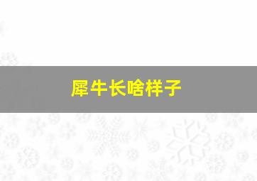 犀牛长啥样子