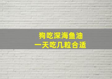 狗吃深海鱼油一天吃几粒合适