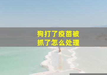 狗打了疫苗被抓了怎么处理