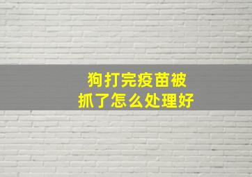 狗打完疫苗被抓了怎么处理好