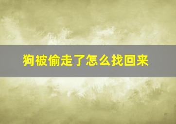 狗被偷走了怎么找回来