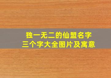 独一无二的仙盟名字三个字大全图片及寓意