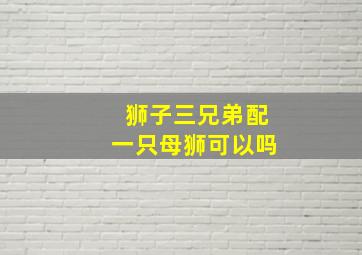 狮子三兄弟配一只母狮可以吗