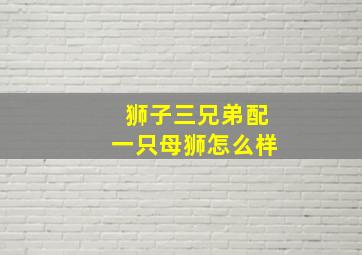 狮子三兄弟配一只母狮怎么样