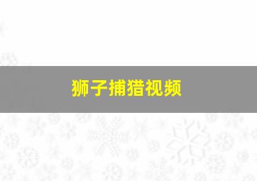 狮子捕猎视频