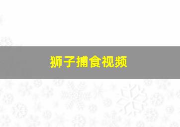 狮子捕食视频