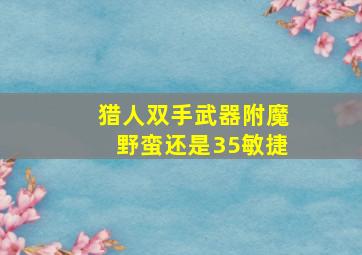 猎人双手武器附魔野蛮还是35敏捷