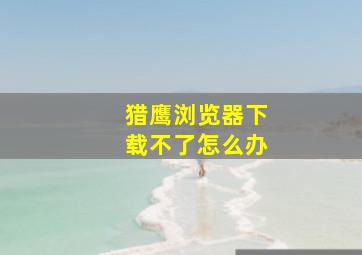 猎鹰浏览器下载不了怎么办