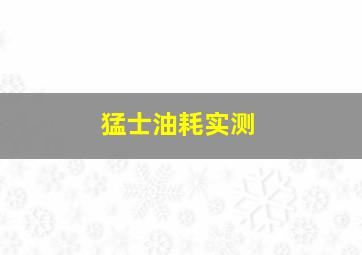 猛士油耗实测