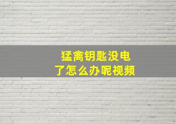 猛禽钥匙没电了怎么办呢视频