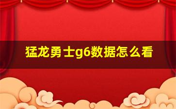 猛龙勇士g6数据怎么看