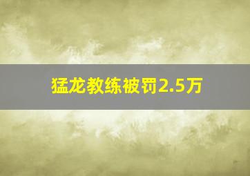 猛龙教练被罚2.5万