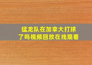 猛龙队在加拿大打球了吗视频回放在线观看