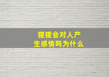 猩猩会对人产生感情吗为什么