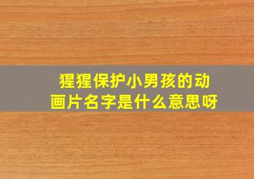 猩猩保护小男孩的动画片名字是什么意思呀