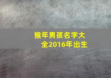 猴年男孩名字大全2016年出生