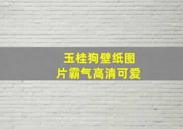 玉桂狗壁纸图片霸气高清可爱