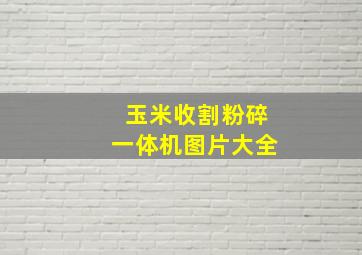 玉米收割粉碎一体机图片大全