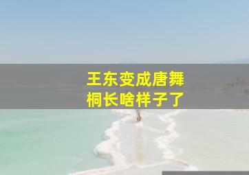 王东变成唐舞桐长啥样子了