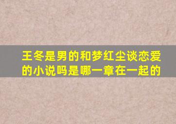 王冬是男的和梦红尘谈恋爱的小说吗是哪一章在一起的